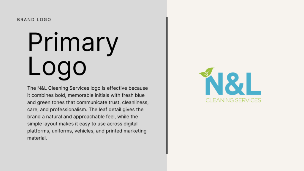 N&L Cleaning Services primary logo with blue initials and green leaf icon.