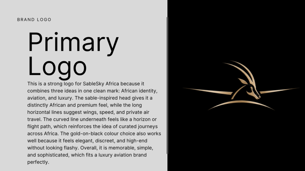 SableSky Africa primary logo with gold sable-inspired aviation mark on a black background.
